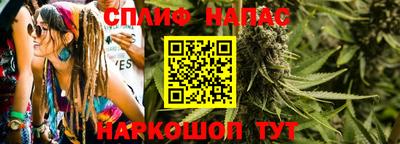 стафф Новодвинск
