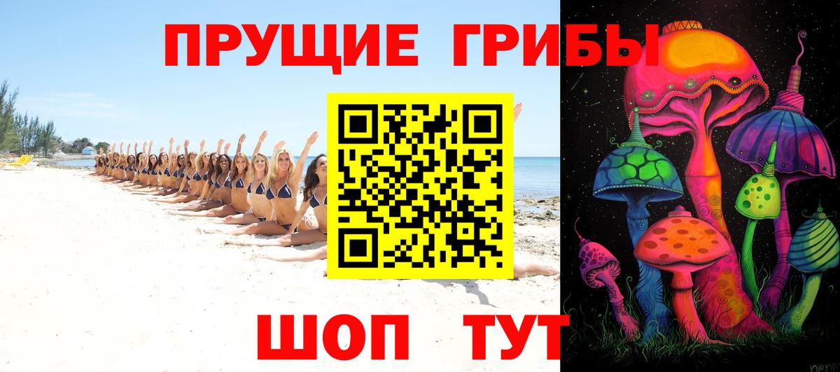 Псилоцибиновые грибы ЛСД  Вход с VPN  Псилоцибиновые грибы прущие грибы  Чайковский 