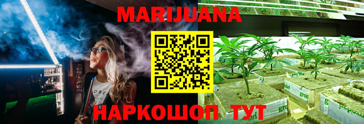 Каннабис гибрид Чайковский